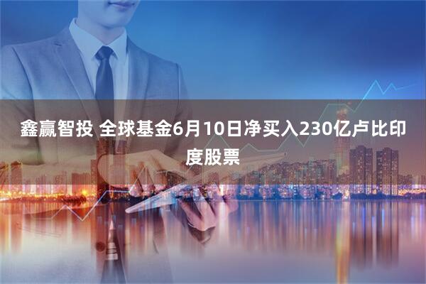 鑫赢智投 全球基金6月10日净买入230亿卢比印度股票