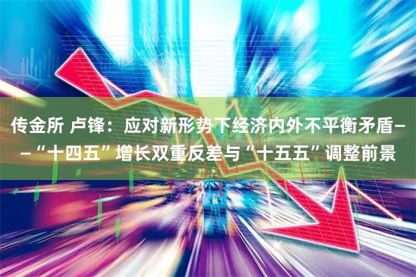 传金所 卢锋：应对新形势下经济内外不平衡矛盾——“十四五”增长双重反差与“十五五”调整前景